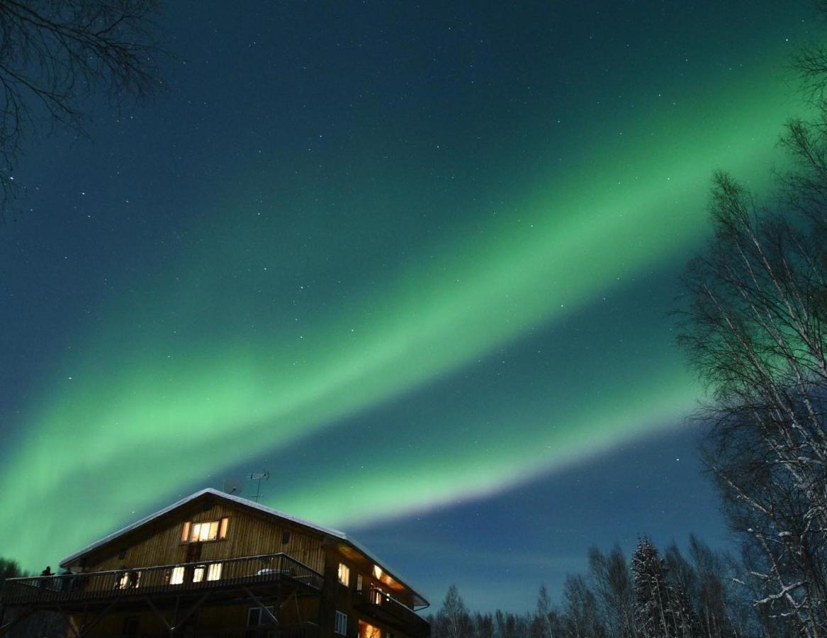 Alaska Grizzly Lodge Fairbanks Bagian luar foto
