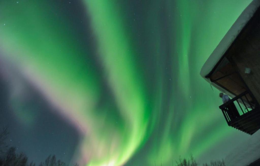 Alaska Grizzly Lodge Fairbanks Bagian luar foto