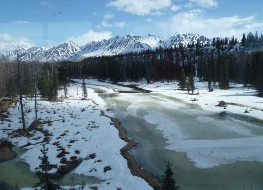 Alaska Grizzly Lodge Fairbanks Bagian luar foto