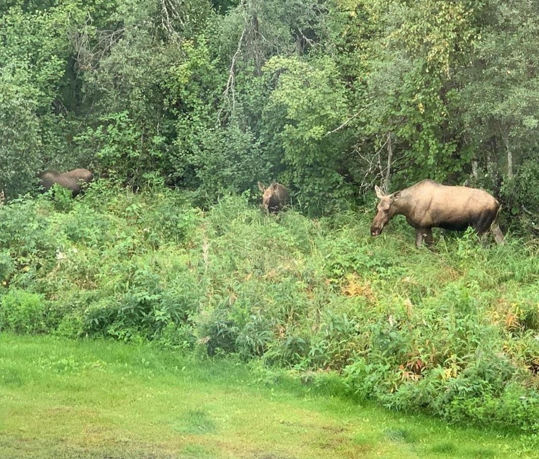 Alaska Grizzly Lodge Fairbanks Bagian luar foto