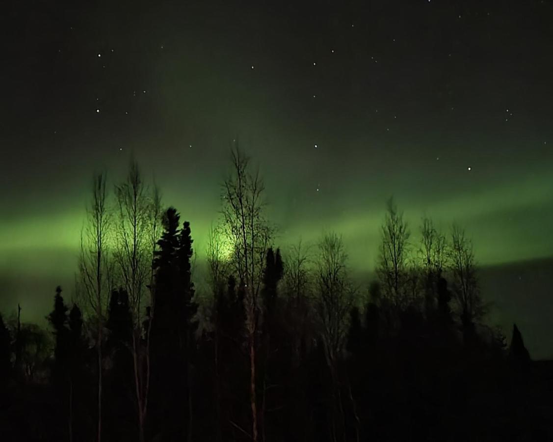 Alaska Grizzly Lodge Fairbanks Bagian luar foto